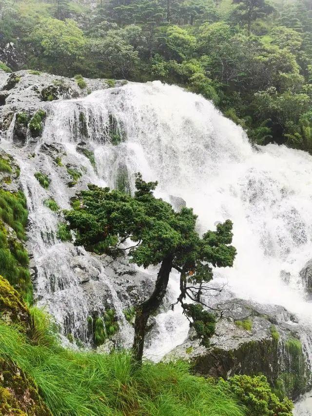 年龄越大越容易流产吗?最后一条你一定要知道